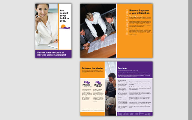Screen capture showing full page